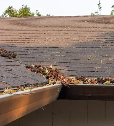 gutter cleaning portland or