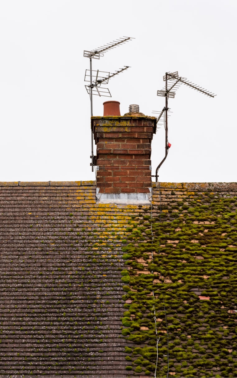 Roof Moss Removal Portland OR Premium Powerwash