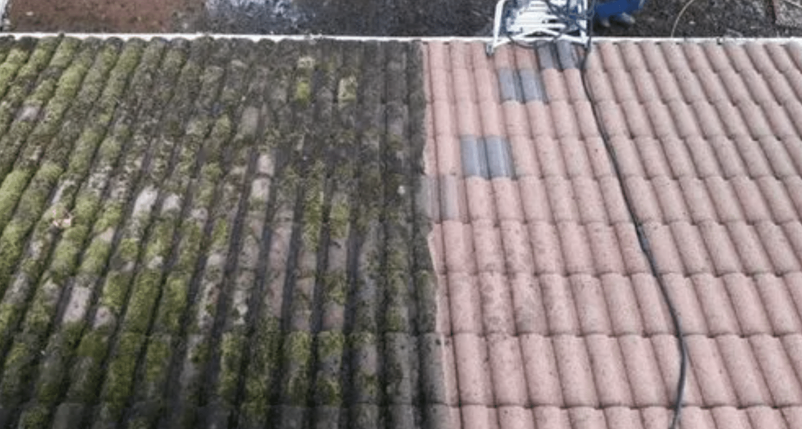 Roof Moss Removal in Portland