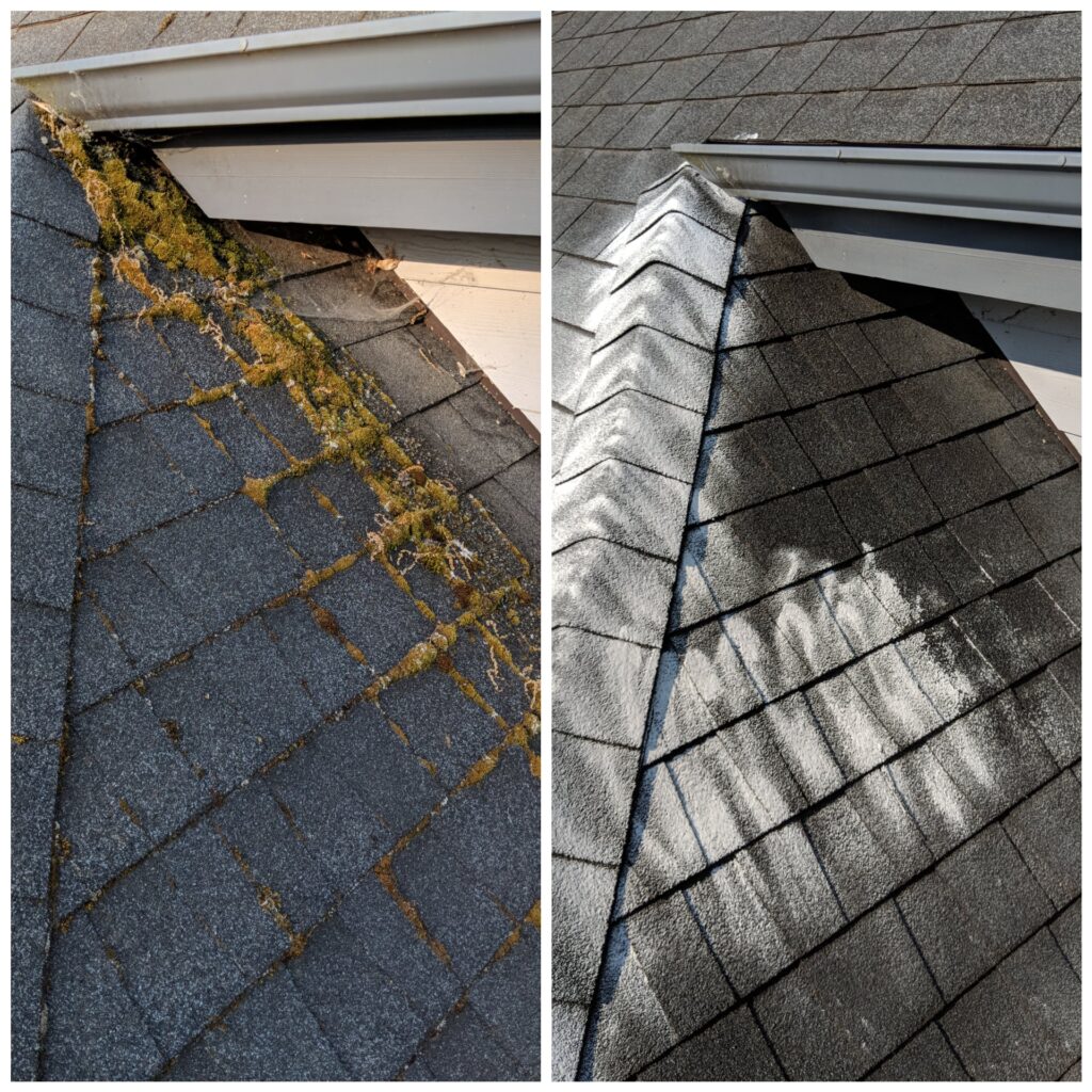 Roof Cleaning Portland OR