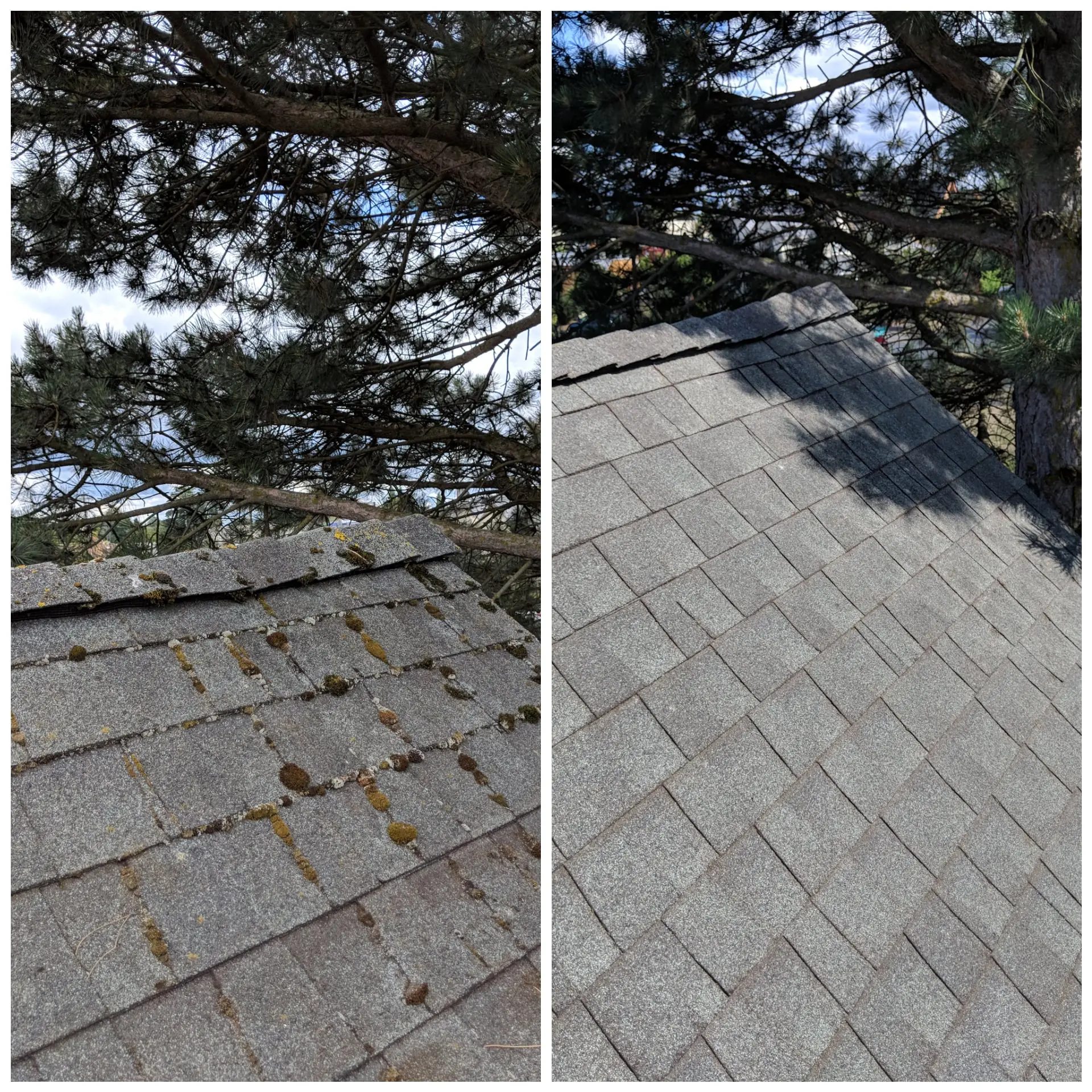 roof and gutter cleaning portland oregon