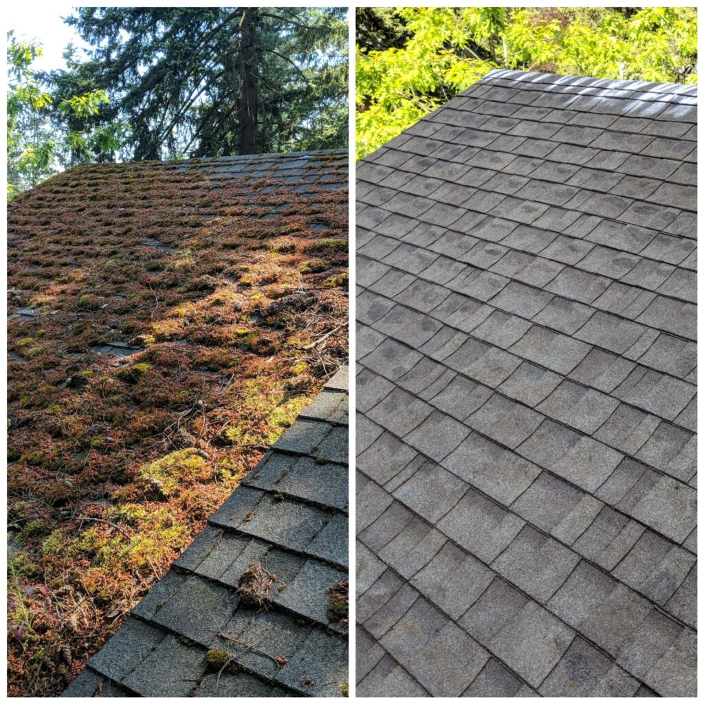 Roof Cleaning Portland OR