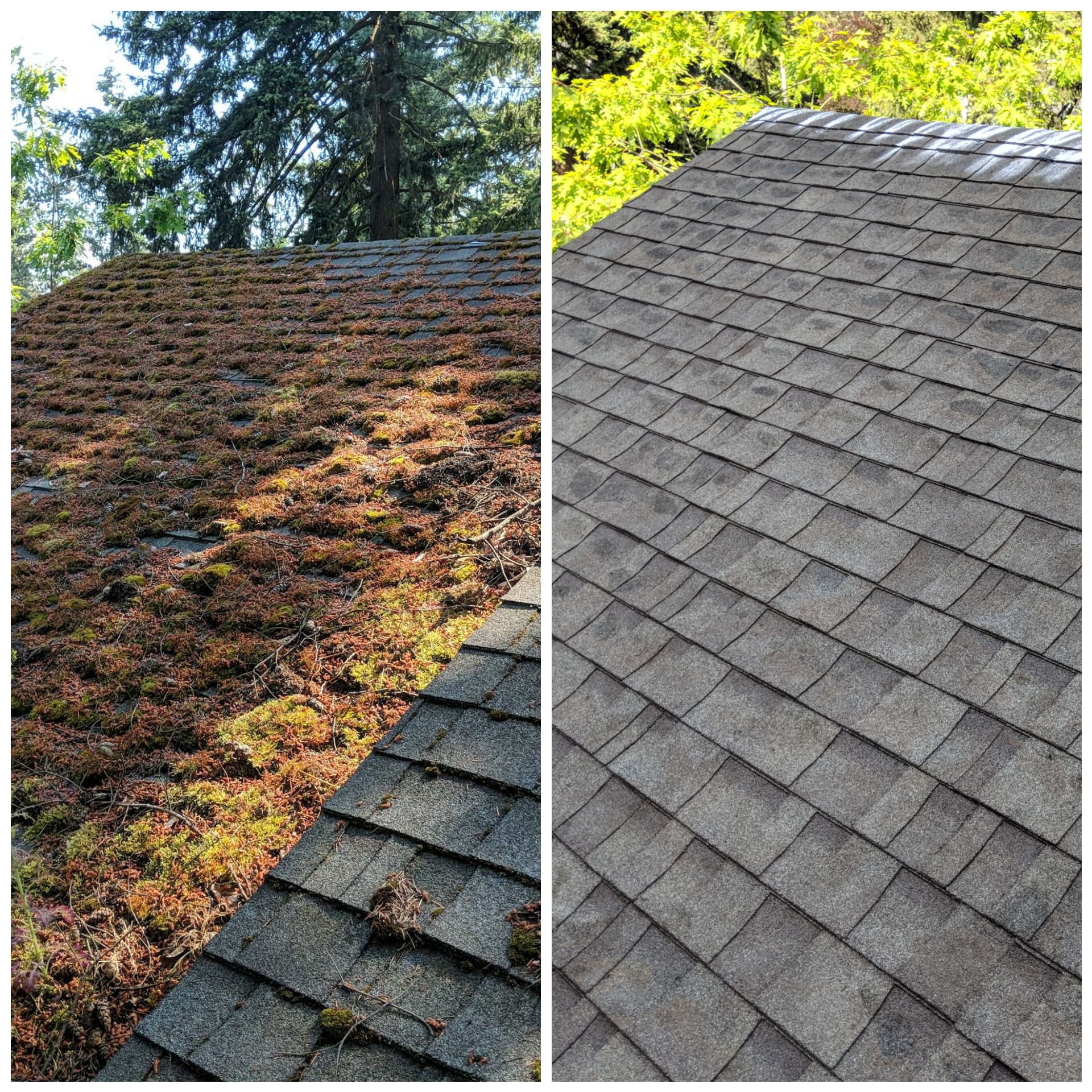 roof cleaner portland oregon