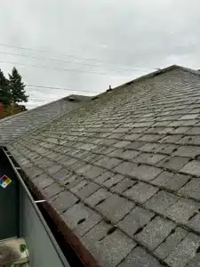 Roof Moss Removal Portland OR