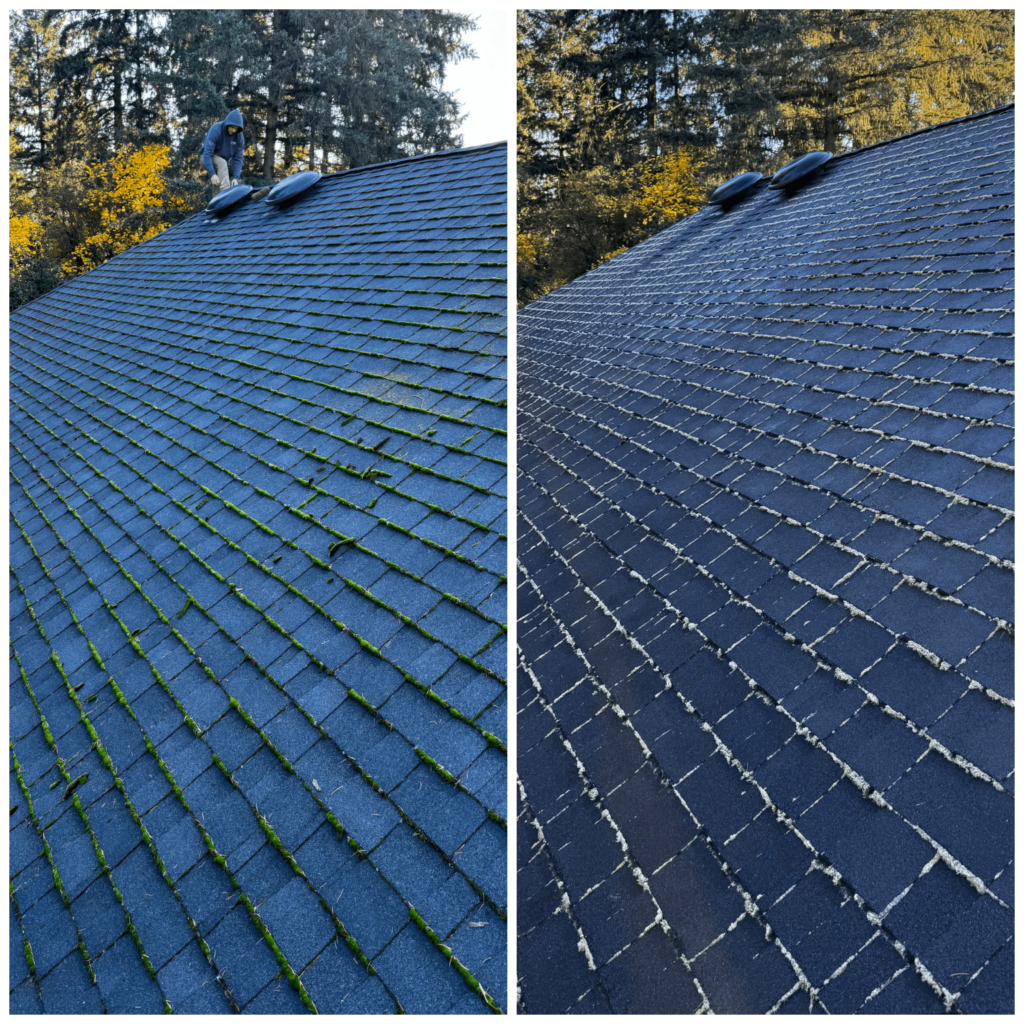 roof cleaner portland oregon