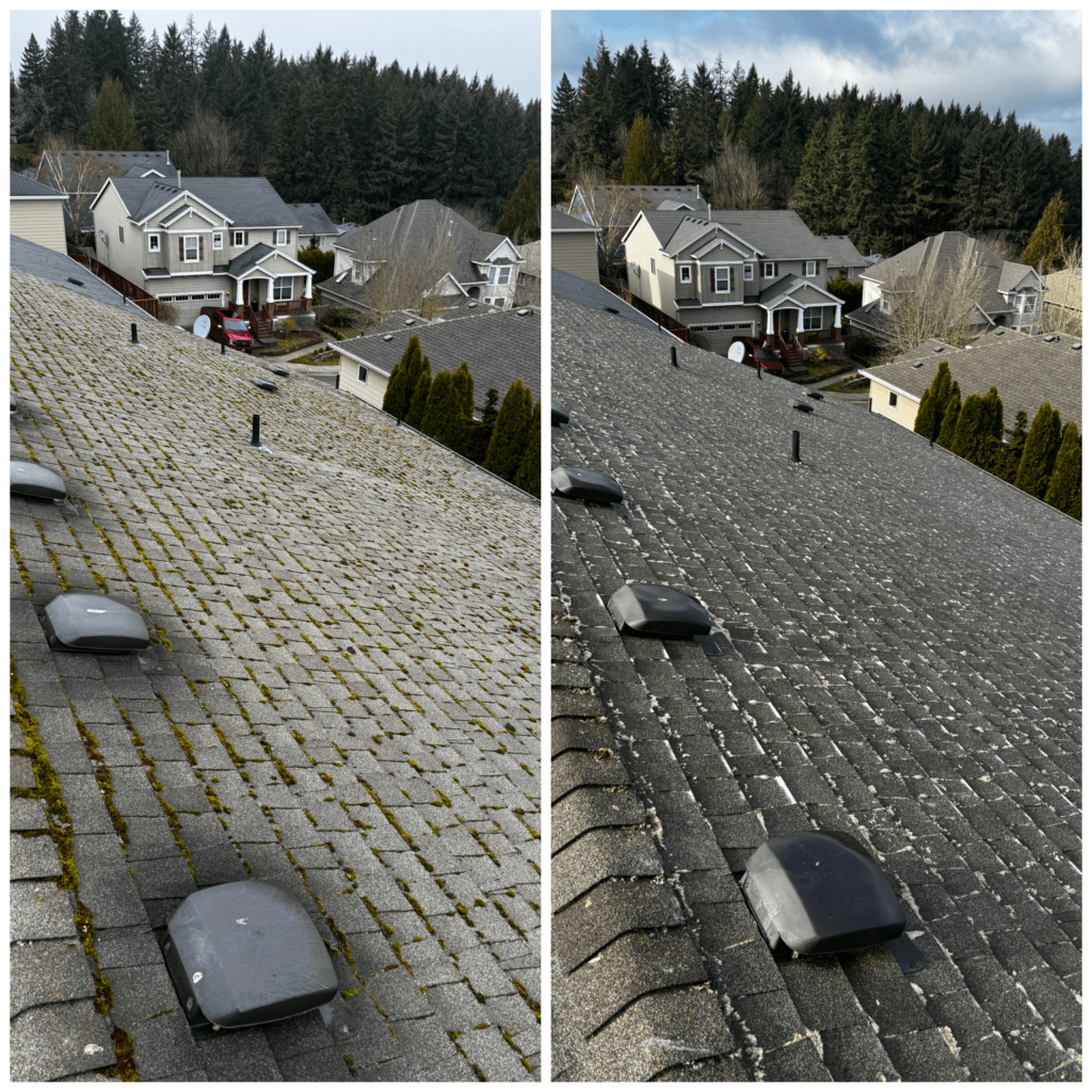 roof cleaner portland oregon