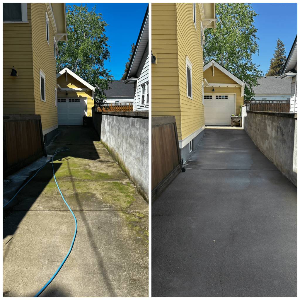 roof cleaner portland oregon