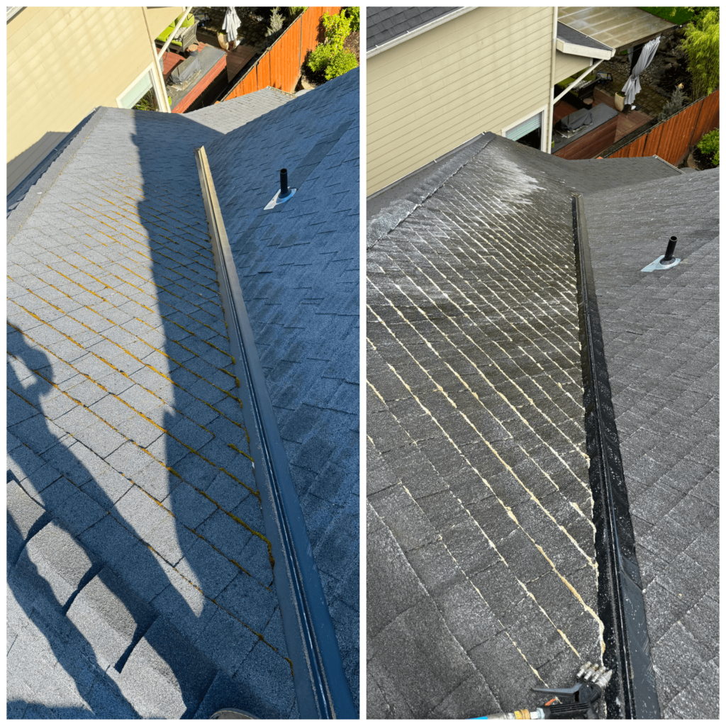 roof cleaner portland oregon