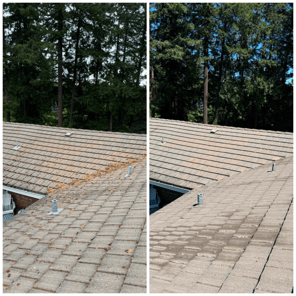 roof cleaner portland oregon