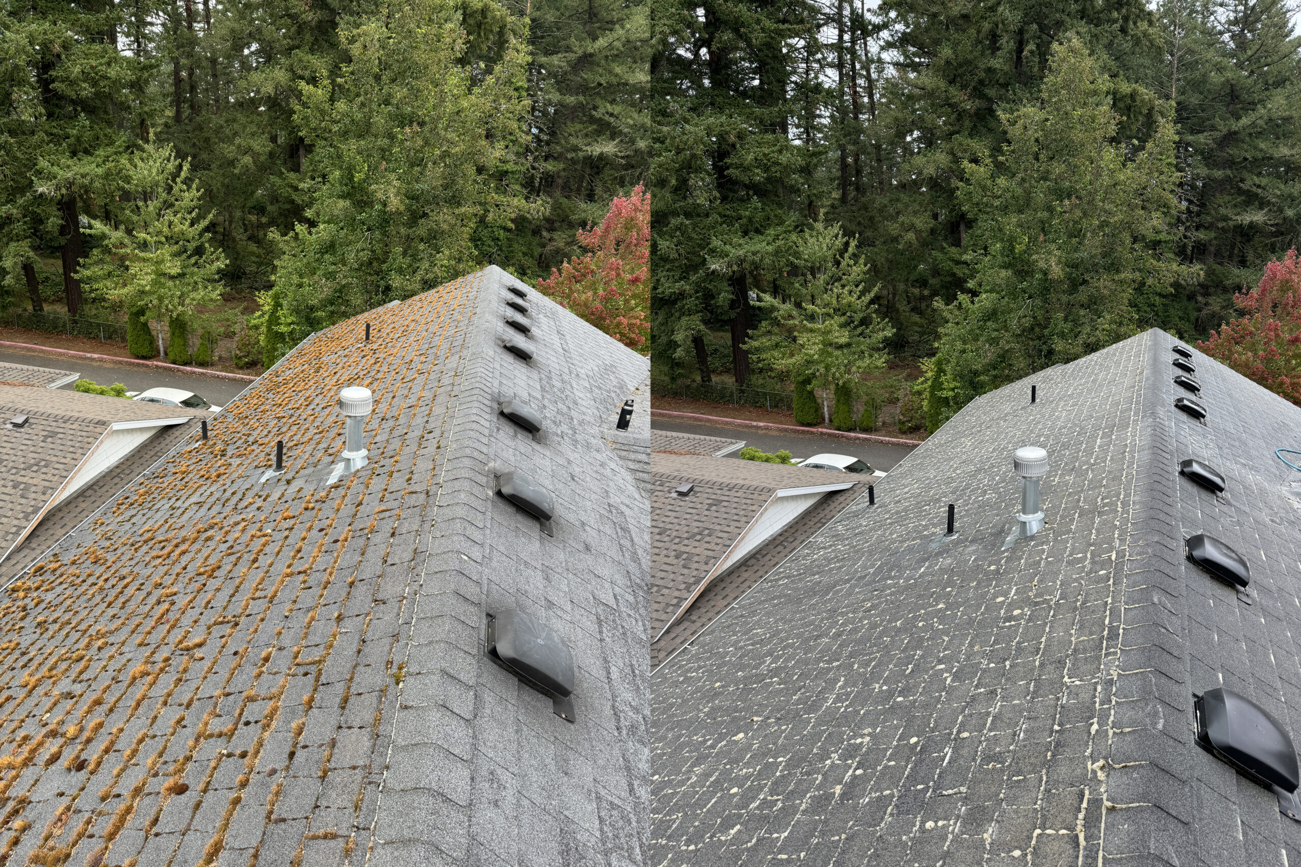Roof Cleaning Portland OR